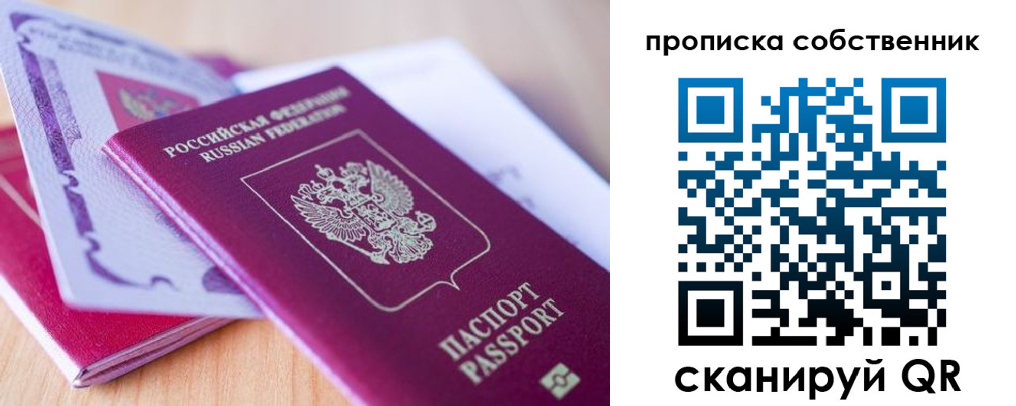 прописка гарантия в Ногинске